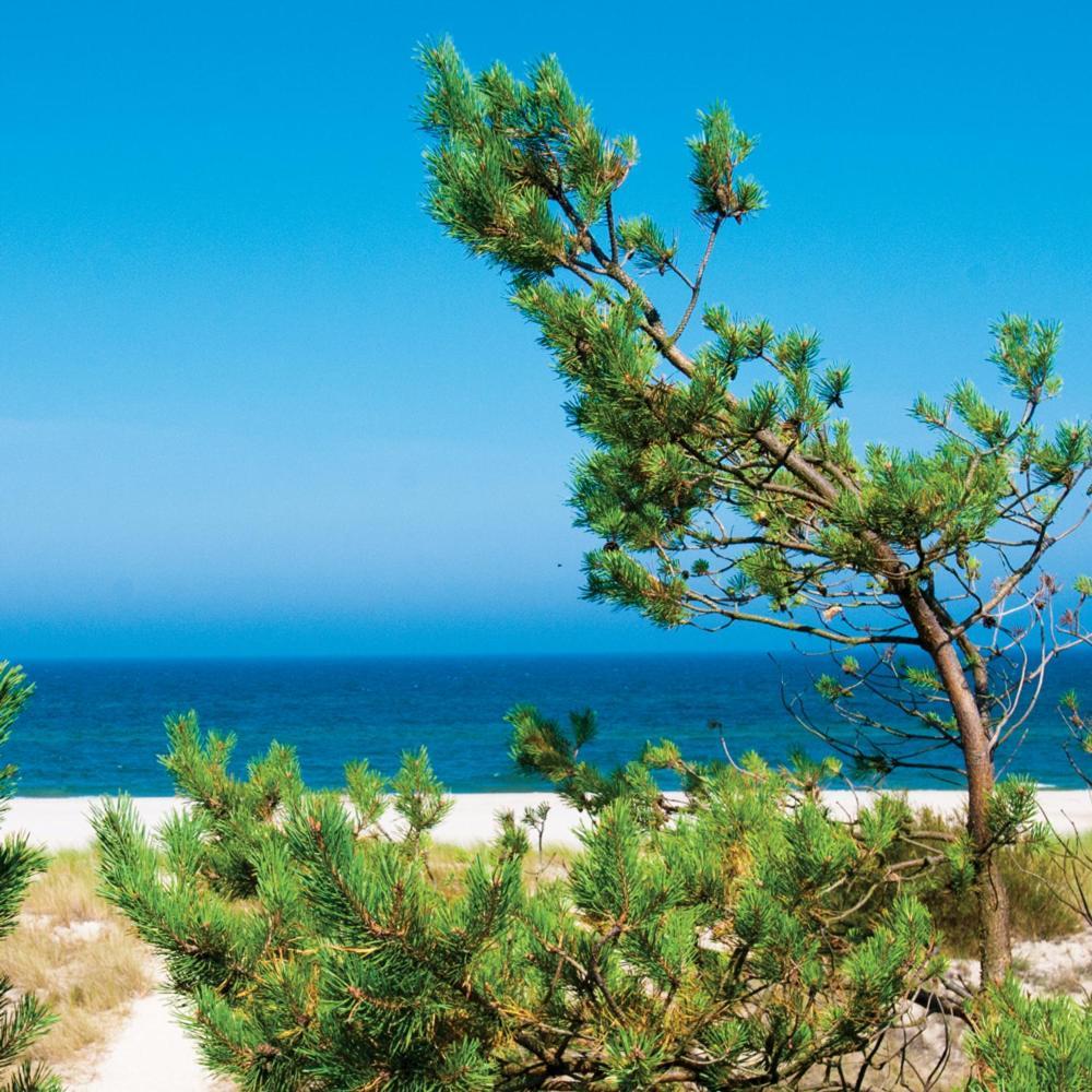 Resort Sloneczna Stolpmünde