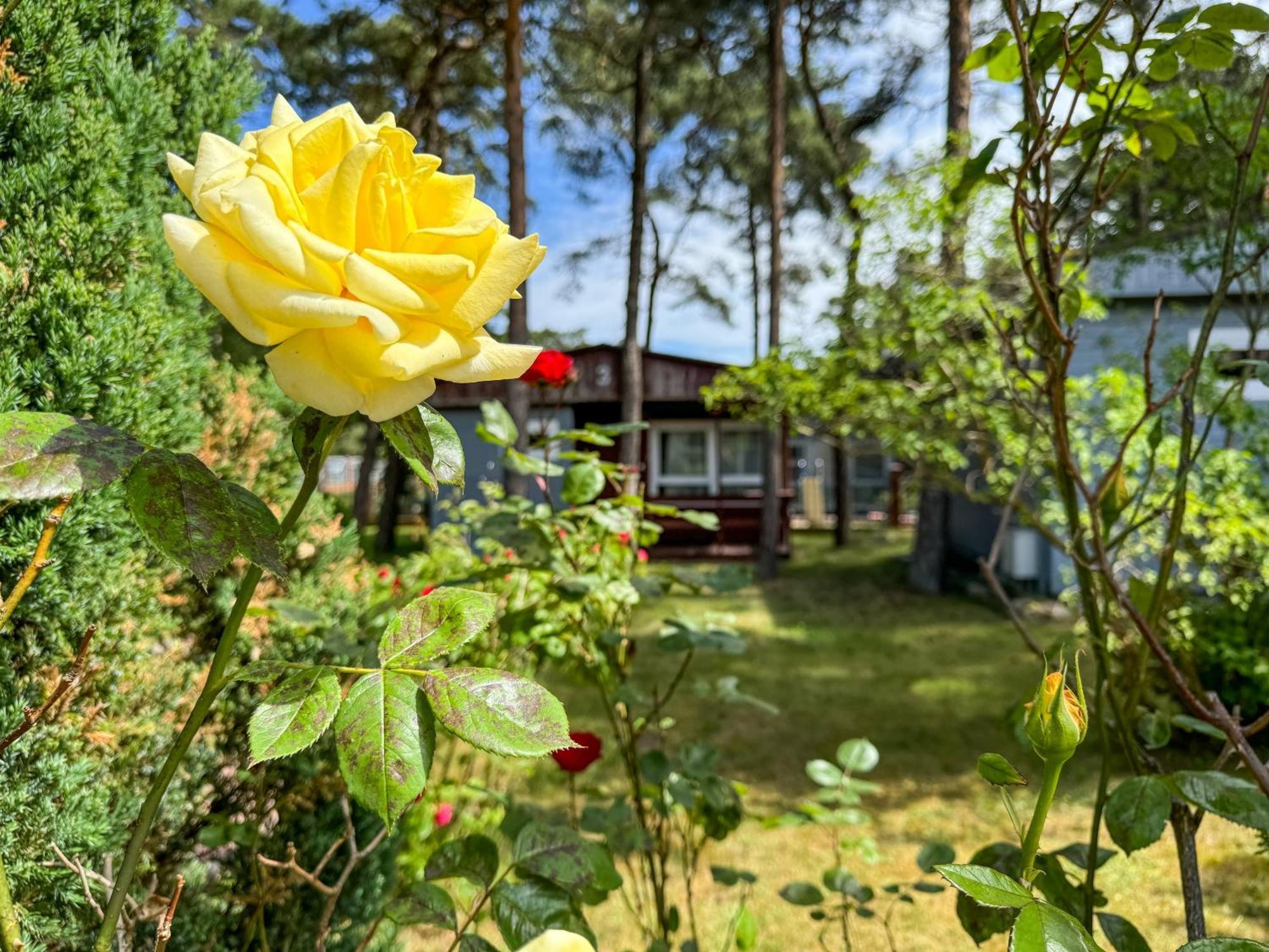 Ferieanlegg Sloneczna